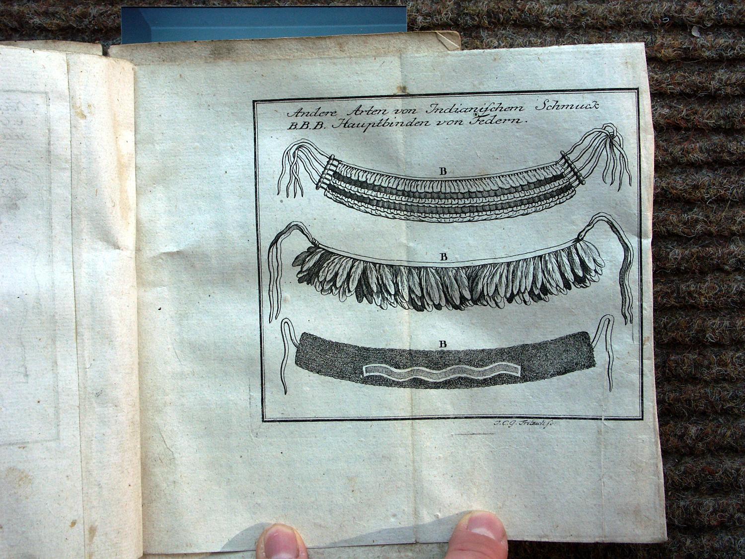 zz-barr50,s.144d guayana kopf